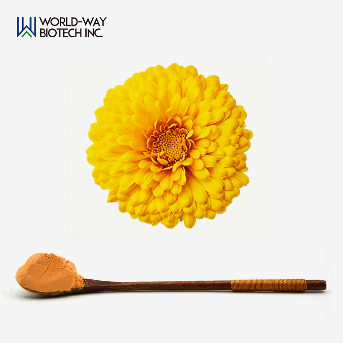 Marigold Extract Powder Marigold Extract Powder